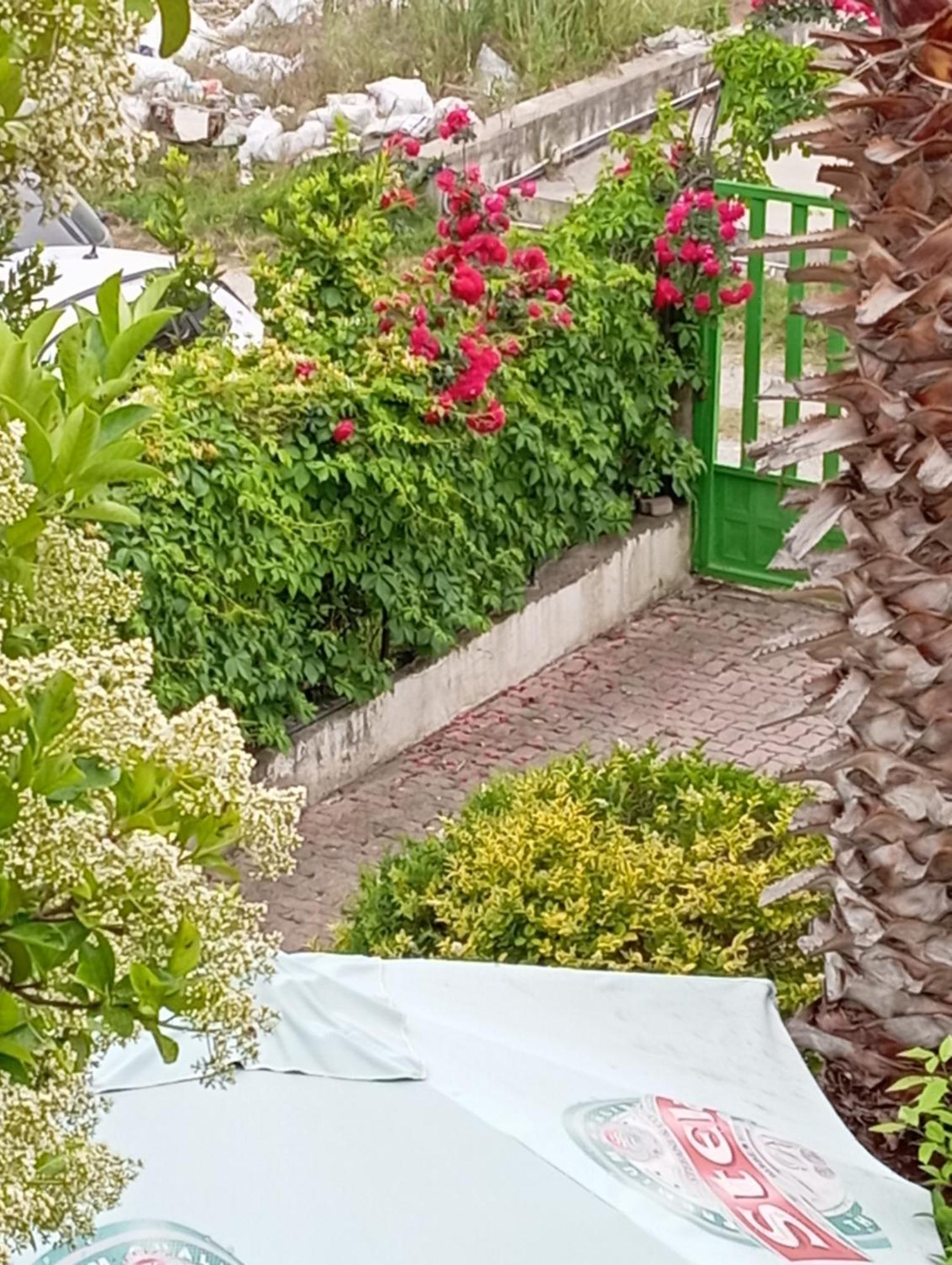A-Vila غوليم المظهر الخارجي الصورة