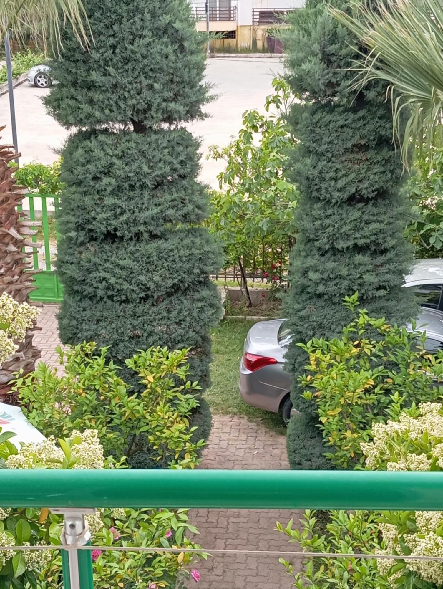 A-Vila غوليم المظهر الخارجي الصورة